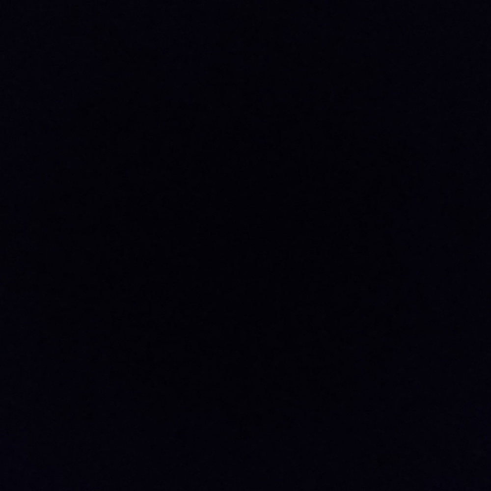 Meet your Posher, Riley